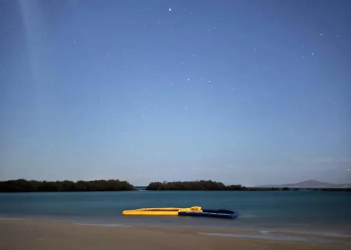 Отель Mangrove Camp